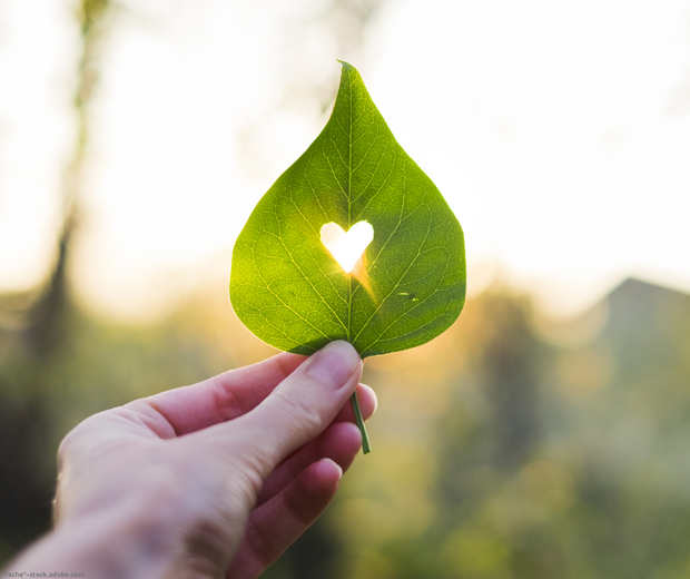 Eine Hand hält ein Blatt, in dem ein Herz eingestanzt ist. Das Herz erstrahlt im Sonnenlicht. Eine Hand hält ein Blatt, in dem ein Herz eingestanzt ist. Das Herz erstrahlt im Sonnenlicht.