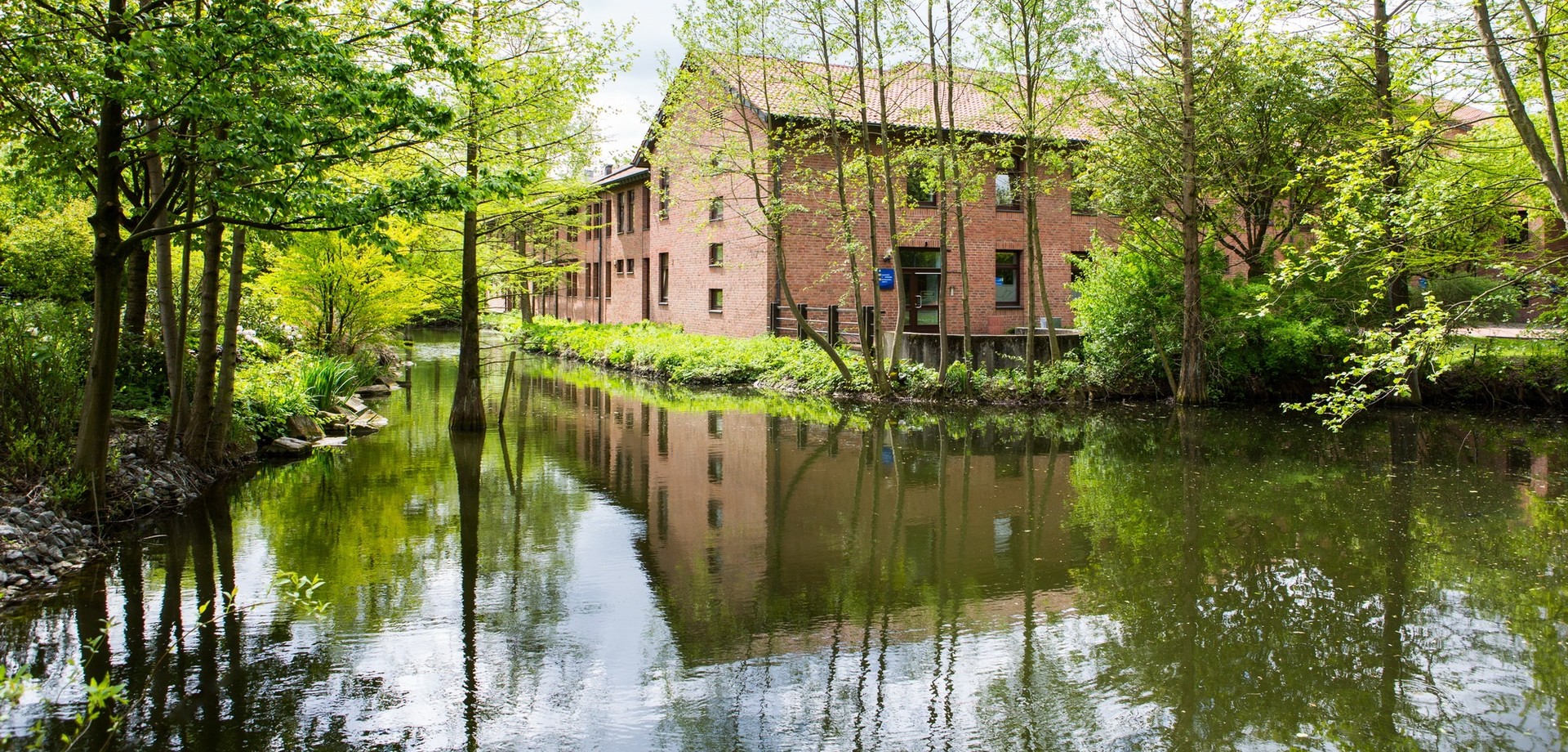 Ein Klinikgebäude hinter einem naturbelassenen Teich mit vielen Bäumen. Bildquelle: LWL/Kaltenhäuser